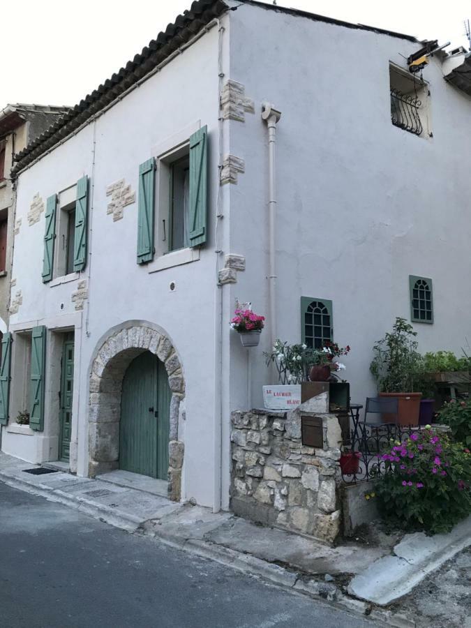 Chambre D'Hotes Le Laurier Blanc Portel-des-Corbieres Εξωτερικό φωτογραφία